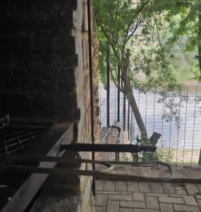 636687221_1836893083910338_3113714989688601694_n